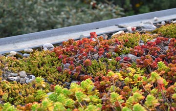 the cost of Little Town green roof installation