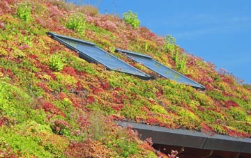 Little Town living roof systems