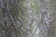 Little Town fibreglass roof work